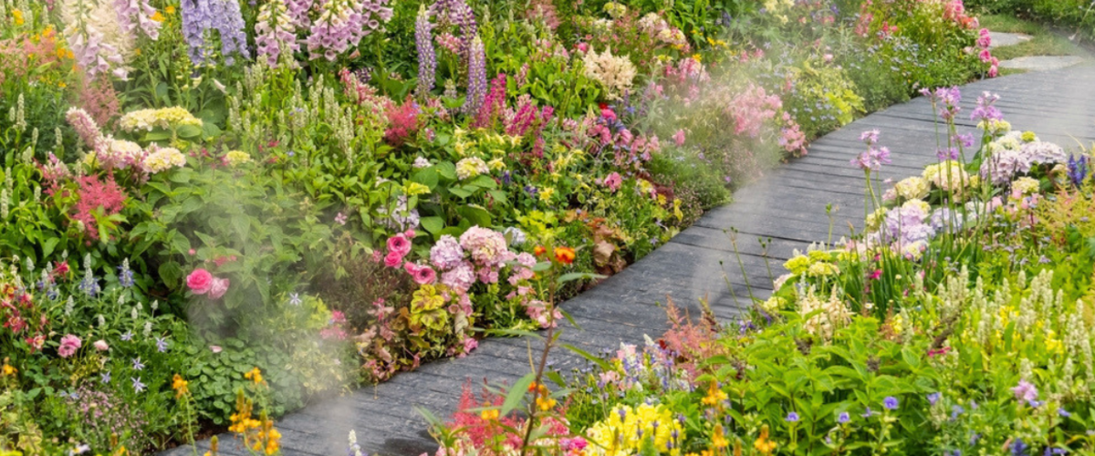Zomer in de tuin! (en in ons Groencentrum...)
